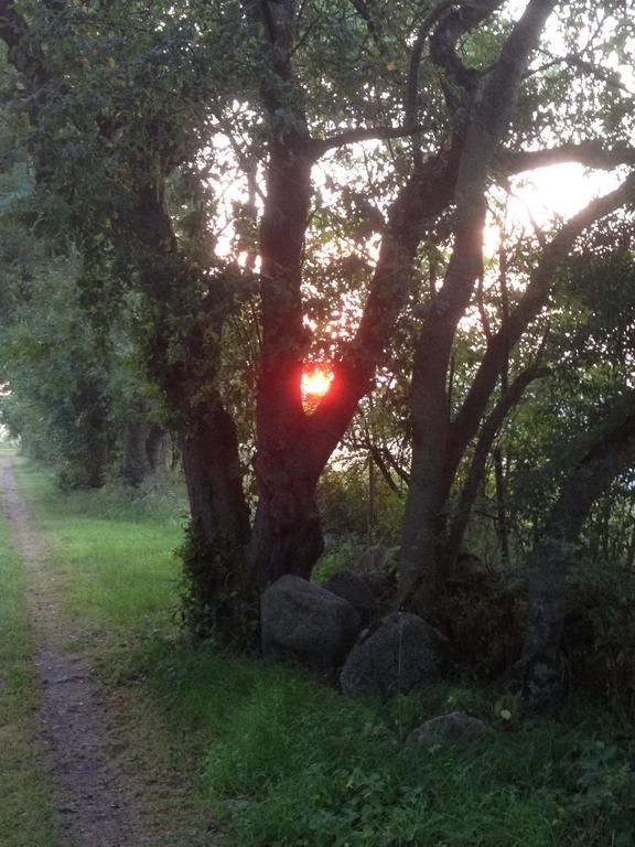 Paradiset Oestra Oeland Nedra Sandby Екстер'єр фото